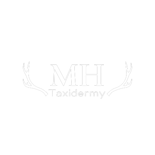 Mickey Herring Taxidermy